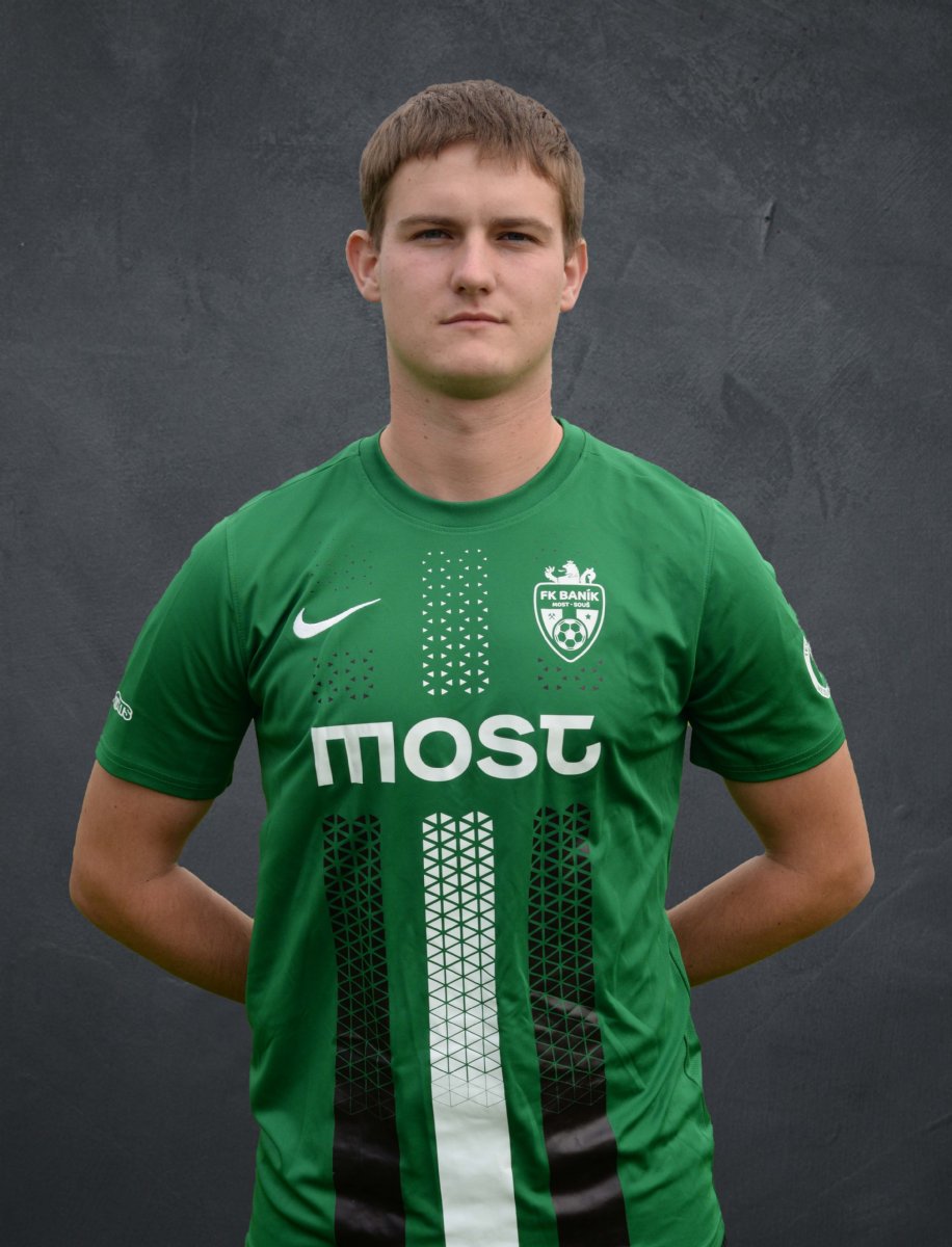 Radek orna # 